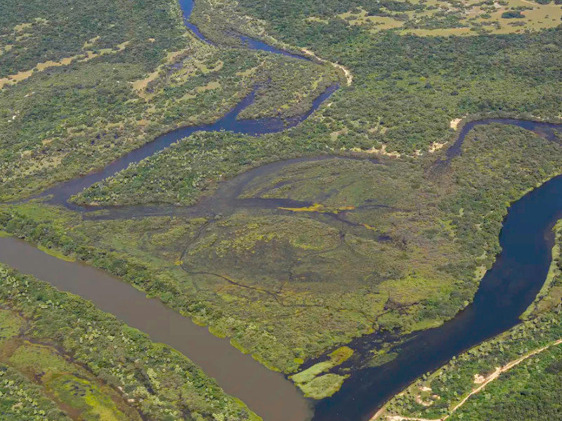 Maior parte da Mata Atlântica tem menos de 30% de vegetação nativa